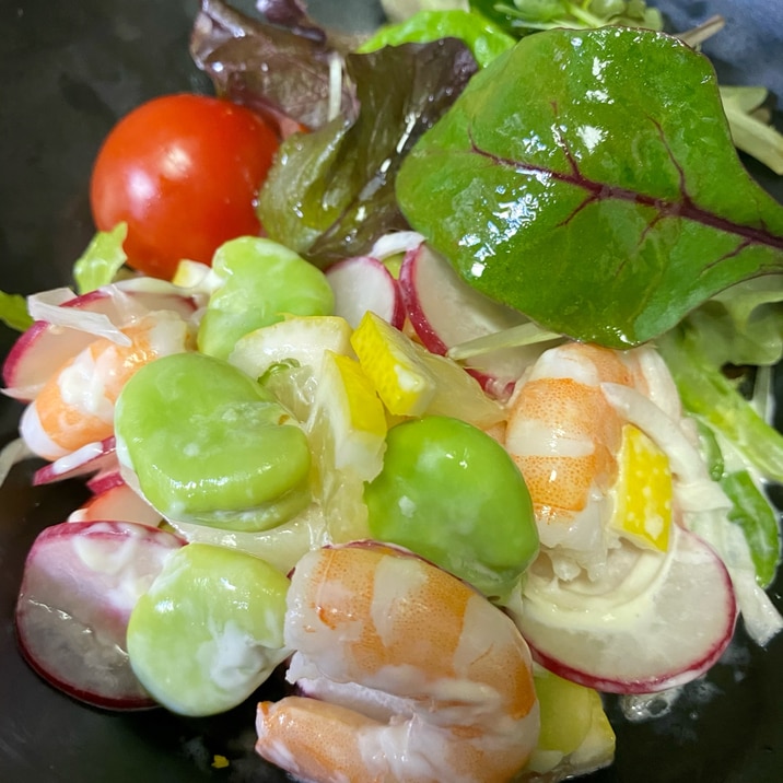 母の日に…*新玉ねぎ・そら豆・小エビのデリサラダ*